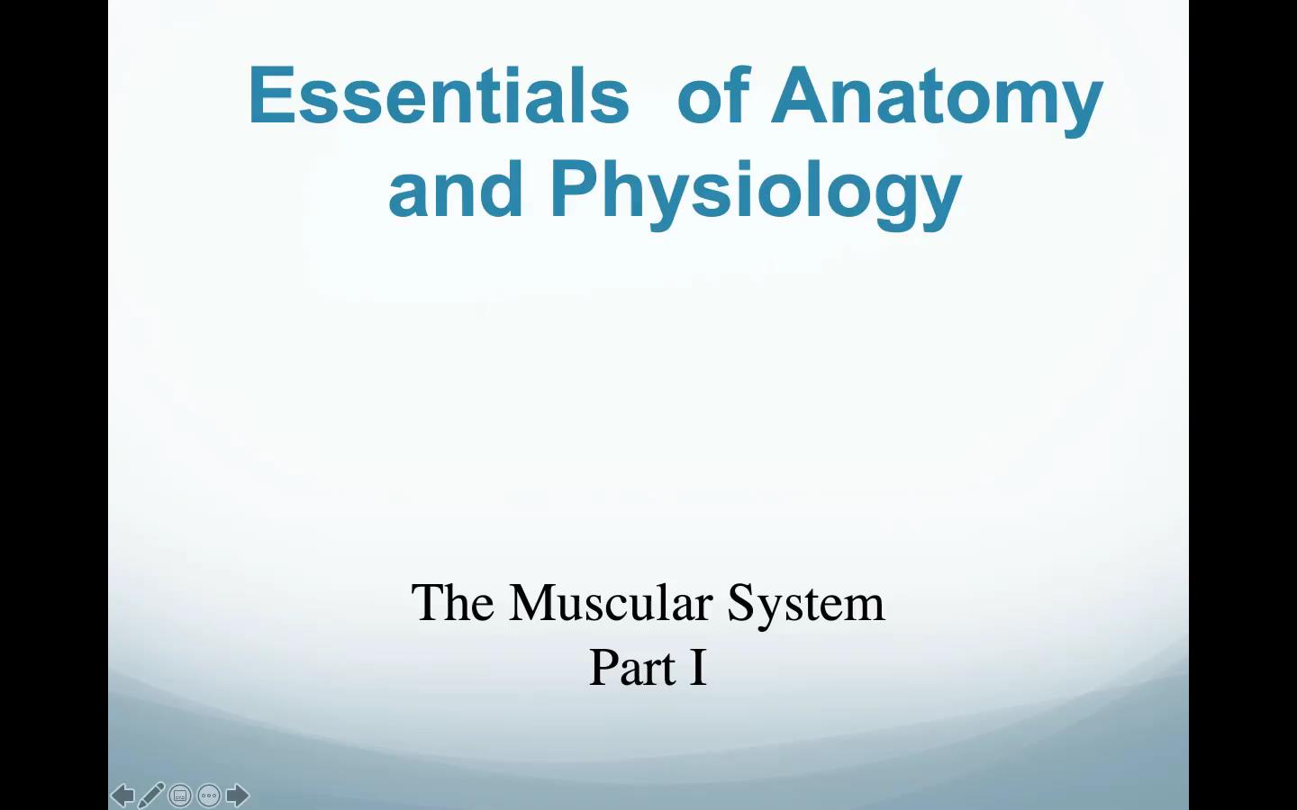 The Muscular System: Part I